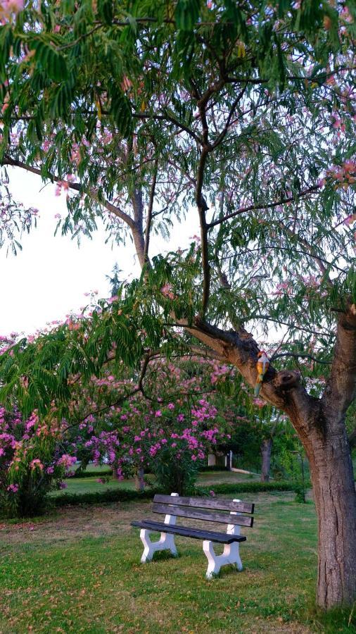 Casa Alegria Βίλα Ολυμπιάδα Εξωτερικό φωτογραφία