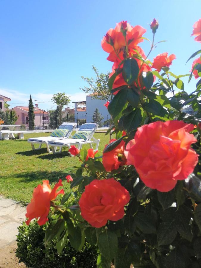 Casa Alegria Βίλα Ολυμπιάδα Εξωτερικό φωτογραφία
